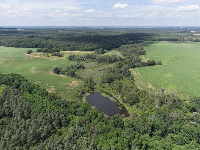 5. Jezioro Bielawa w Ośnie Lubuskim