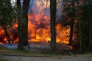 Częstochowa: Seryjny podpalacz puścił z dymem blisko 22 tys. zł.! W ciągu miesiąca podpalił las aż... siedem razy