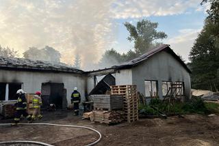 Potężny pożar stolarni koło Lublina. Straty oszacowano na 2 mln zł!