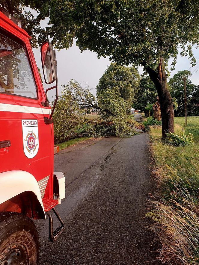 Potężna burza przeszła przez Bydgoszcz i region. Ponad 400 interwencji strażaków!