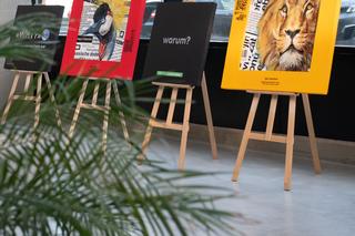 Wystawa połączona z pomaganiem. Łódzkie Orientarium organizuje zbiórkę dla ukraińskich zwierząt