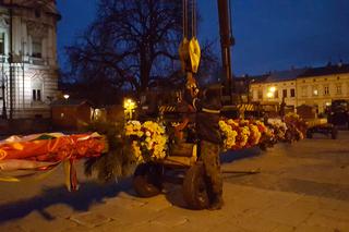  Gigantyczna palma wielkanocna  w Nowym Sączu