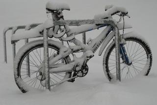 Zima nie odstrasza lubelskich rowerzystów [FELIETON]