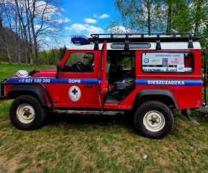 Turysta ukąszony przez żmiję.