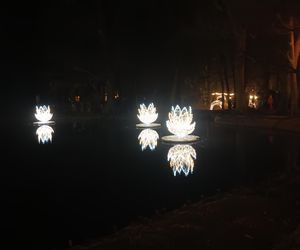 Iluminacje świetlne 2024 Gdańsk