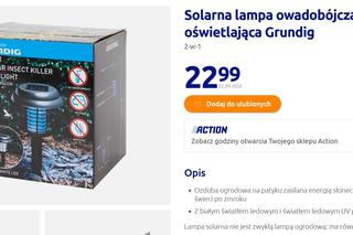 hit z Action na balkon i do ogrodu