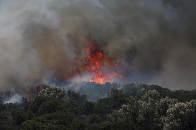 Pożary w Hiszpanii, Portugalii, Turcji.