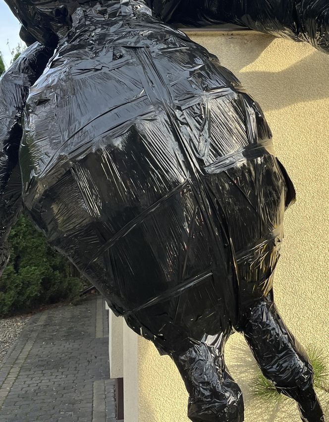 Gigantyczny pająk z plastikowych butelek ozdobił dom w Lublinie