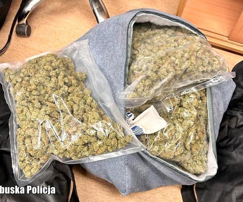 30 kg narkotyków przejęte przez gorzowską policję
