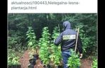 Memy o POLICJI