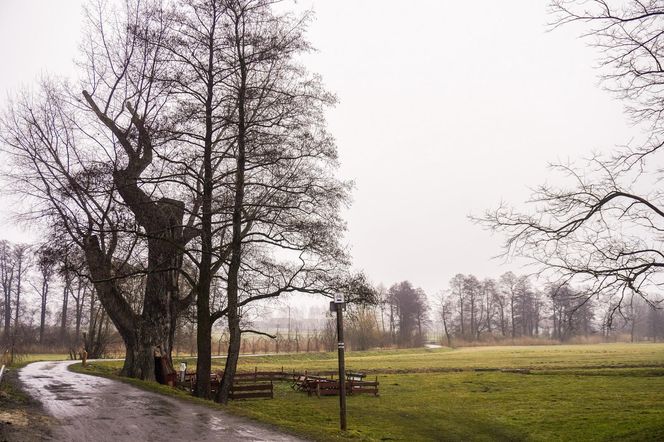 Odwiedziłam słynną Chatkę Puchatka na Śląsku 