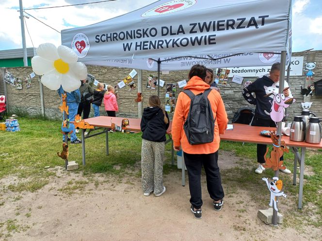 „Wszystkie psiaki nasze są” w schronisku w Henrykowie koło Leszna