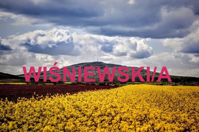 WIŚNIEWSKI/A