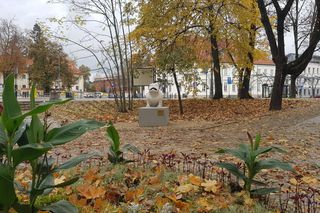 Tak prezentuje się rzeźba psa Kawelina po renowacji