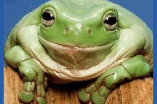 Kartki i grafiki na Prima Aprilis 2026. Pobierz za darmo i świętuj 1 kwietnia z humorem!