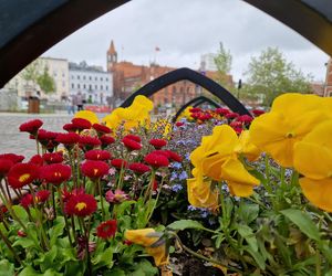 Rybi Rynek w Bydgoszczy niemal gotowy. Eleganckie nabrzeże już cieszy oczy!