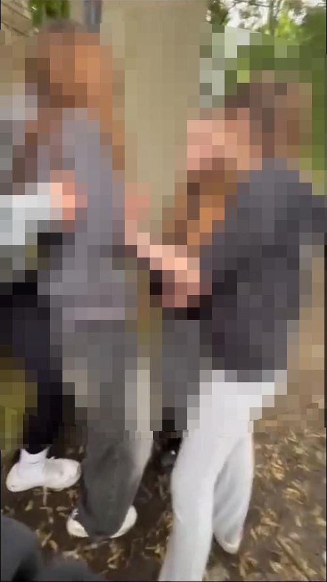 Brutalny atak na 14-latkę w Zielonej Górze! Wstrząsające nagranie trafiło do sieci