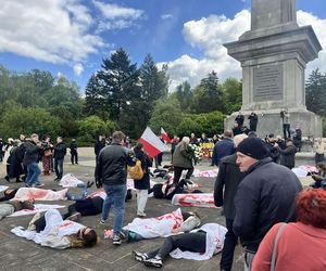 Transparenty, flagi, krew. Na Cmentarzu Mauzoleum Żołnierzy Radzieckich odbył się antywojenny protest