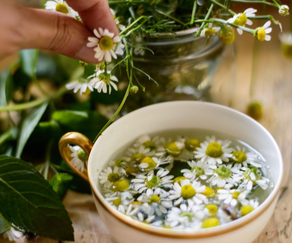 Jak złagodzić ból przy endometriozie? Pospolite zioła i nasiona mogą przynieść ulgę