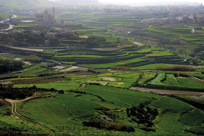 Wyspa Gozo - Malta