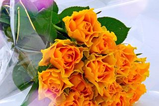 Dzień Teściowej 2025. Wyjątkowe życzenia i śmieszne wierszyki dla teściowej [5.03.2025]