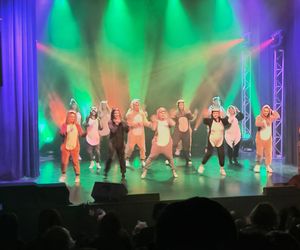 NDK i przyjaciele - koncert charytatywny w Nowogardzie