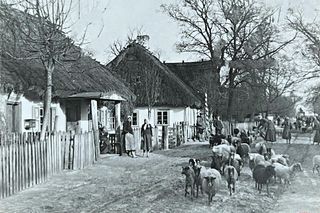 Wsie z woj. lubelskiego sprzed prawie 100 lat. Zobacz 