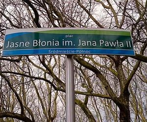 Pierwsze krokusy na Jasnych Błoniach