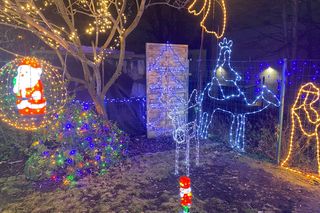 Niewielki ogródek pod blokiem niczym mini Las Vegas. To wyjątkowe miejsce w Zielonej Górze 