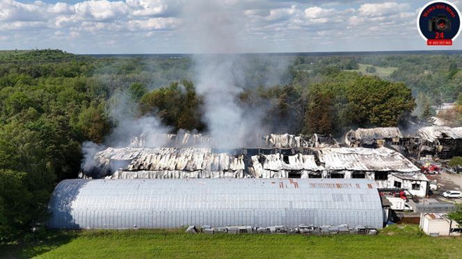Gigantyczny pożar hali niedaleko Warszawy. Powołają specjalny zespół prokuratorski