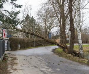 Huragan i trąby powietrzne nad Polską! Synoptycy alarmują przed zagrożeniami