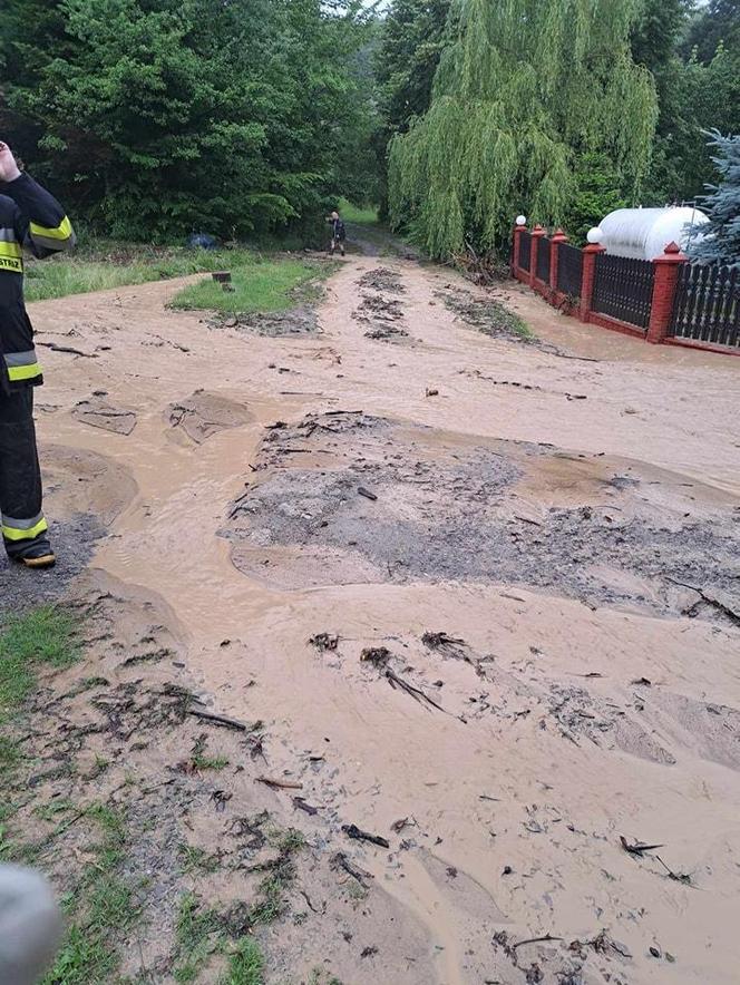 Zalane posesje na Podkarpaciu. Strażacy interweniują od wczesnych godzin 