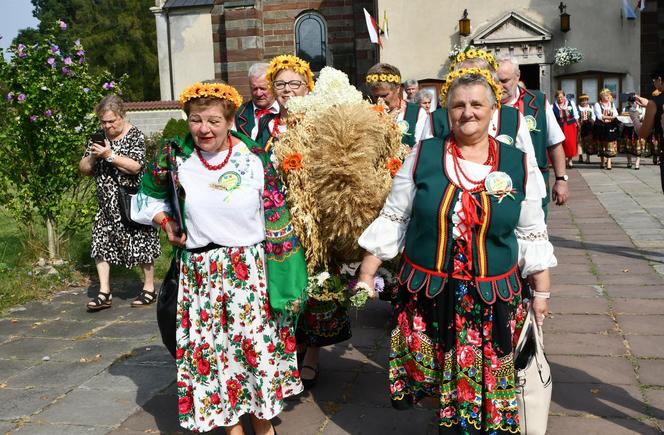 Dożynki 2024 w powiecie starachowickim. W Wąchocku dożynkowe wieńce, korowód i przysmaki