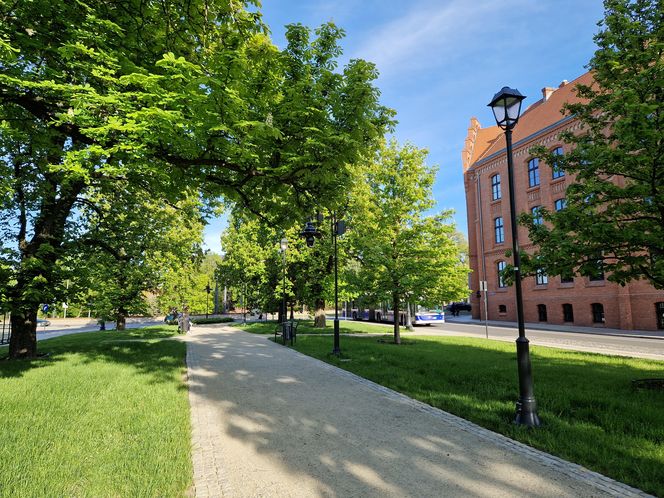 Plac Kościeleckich rozkwita na wiosnę. Bydgoszczanie chętnie wybierają go na spacer