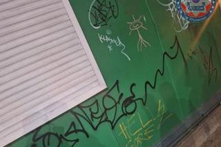 Wandale zatrzymani. Wpadli dzięki miejskiemu monitoringowi