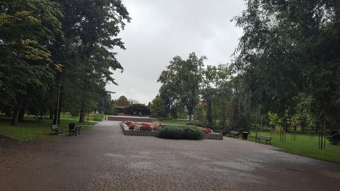 Rzeszów walczy ze szczurami w parku