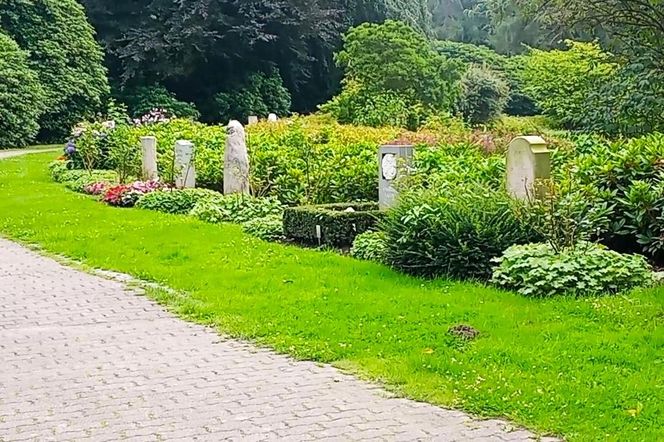 Ohlsdorfer Friedhof w Hamburgu