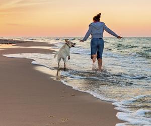 Plaże dla psów nad Bałtykiem. Te są przyjazne czworonogom. Lista miejsc