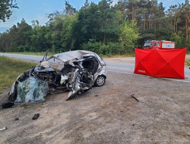 Śmiertelny wypadek na DK 12 pod Piotrkowem Tryb. Kierujący chevroletem wjechał pod tira [ZDJĘCIA]