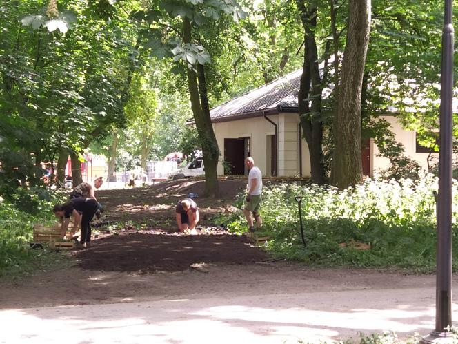 Siedlecki Park Miejski Aleksandria zmienił się nie do poznania. W ostatnich dniach przed jego otwarciem trwają przygotowania do zaplanowanych imprez