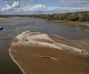 Rekordowo niski stan wody w Wiśle w Warszawie (23.08.2025)