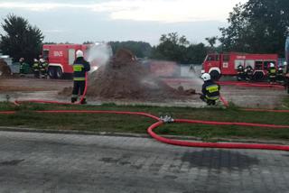 Pożar w zakładzie utylizacji odpadów pochodzenia zwierzęcego