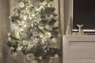 Choinki naszych Czytelników. Taki klimat tylko w woj. lubelskim!