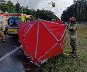 Śmiertelny wypadek na drodze krajowej w Annówce. Czołowe zderzenie dwóch tirów [ZDJĘCIA]