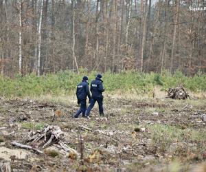 Poszukiwania ciała Jacka Jaworka