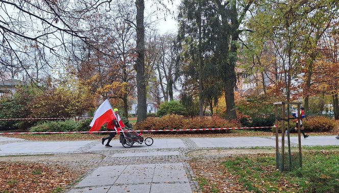 Bieg Niepodległości 2024 - Radom