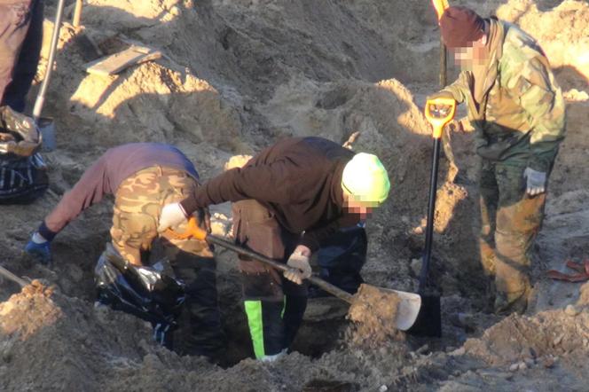 Szokujące odkrycie w Wieliszewie. Budowlańcy wykopali ludzkie szczątki