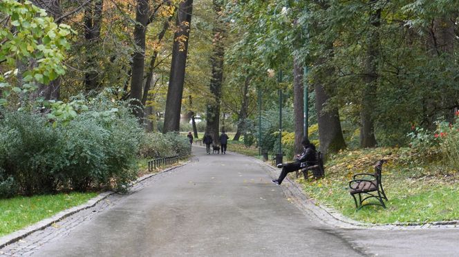 Ogród Saski w Lublinie w jesiennej odsłonie