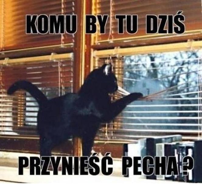 Memy na PIĄTEK trzynastego! Zobacz najśmieszniejsze obrazki w internecie! [GALERIA] 