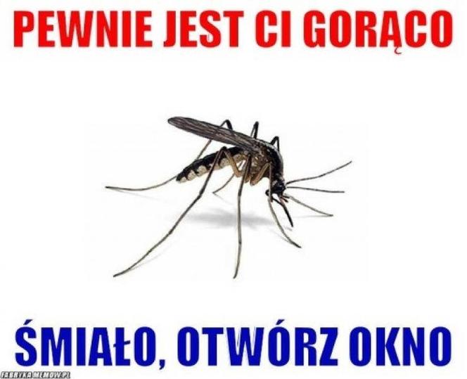Czy do pokoju Hobbit wrzucił pierścień? Tak wyglądają upały w Polsce. MEMY